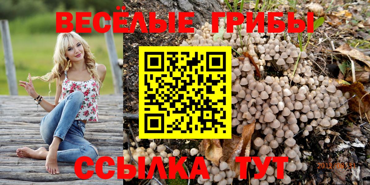 Химки  Галлюциногенные грибы GOLDEN TEACHER  Вход с VPN 